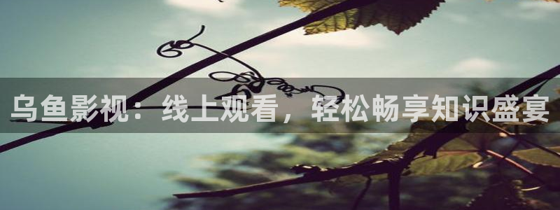 天天91影院：乌鱼影视：线上观看，轻松畅享知识盛宴