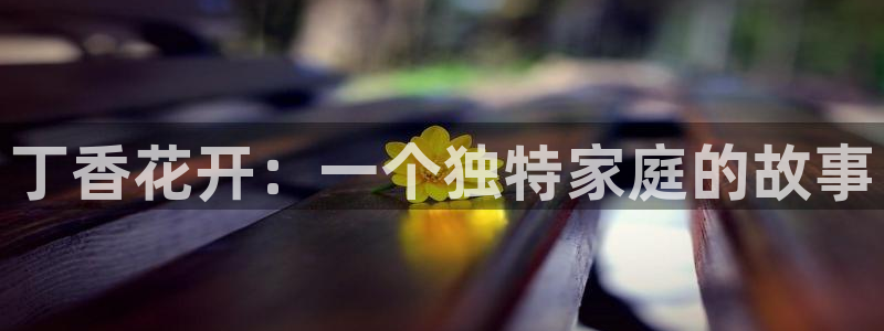 天天干手机影院