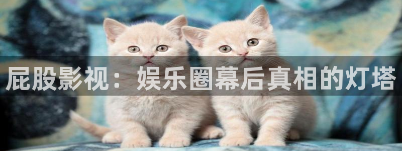 5g天天爽影院：屁股影视：娱乐圈幕后真相的灯塔