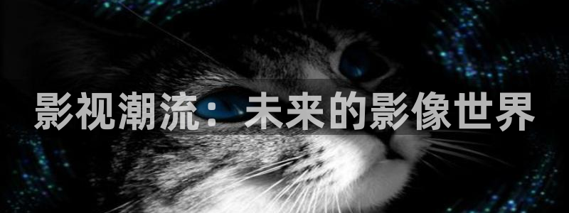 天天影视免费观看电视剧：影视潮流：未来的影像世界